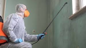 Environmental Consulting for Mold Prevention in Satsuma, AL